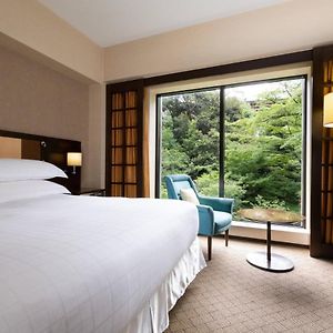 Deluxe Kamer met een King Size Bed